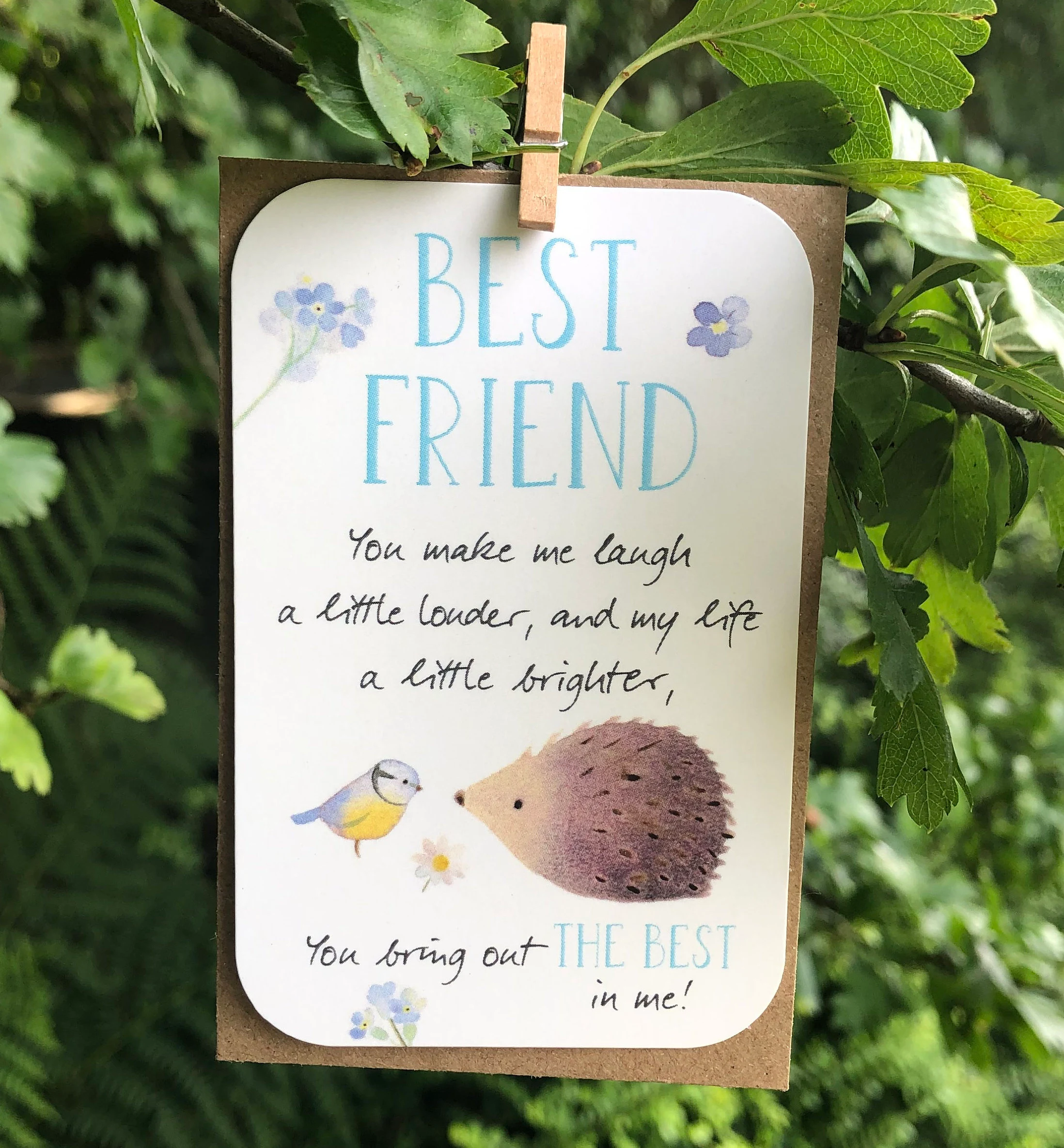 Best Friend Special Friend Inspirational