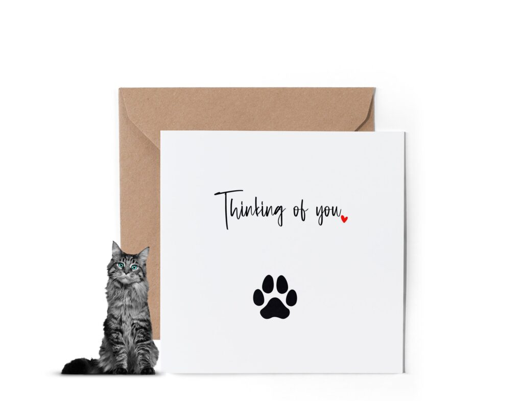 Sympathy Card For Loss Of Cat Pet Loss Sympathy Card For Loss Of Cat Pet Loss