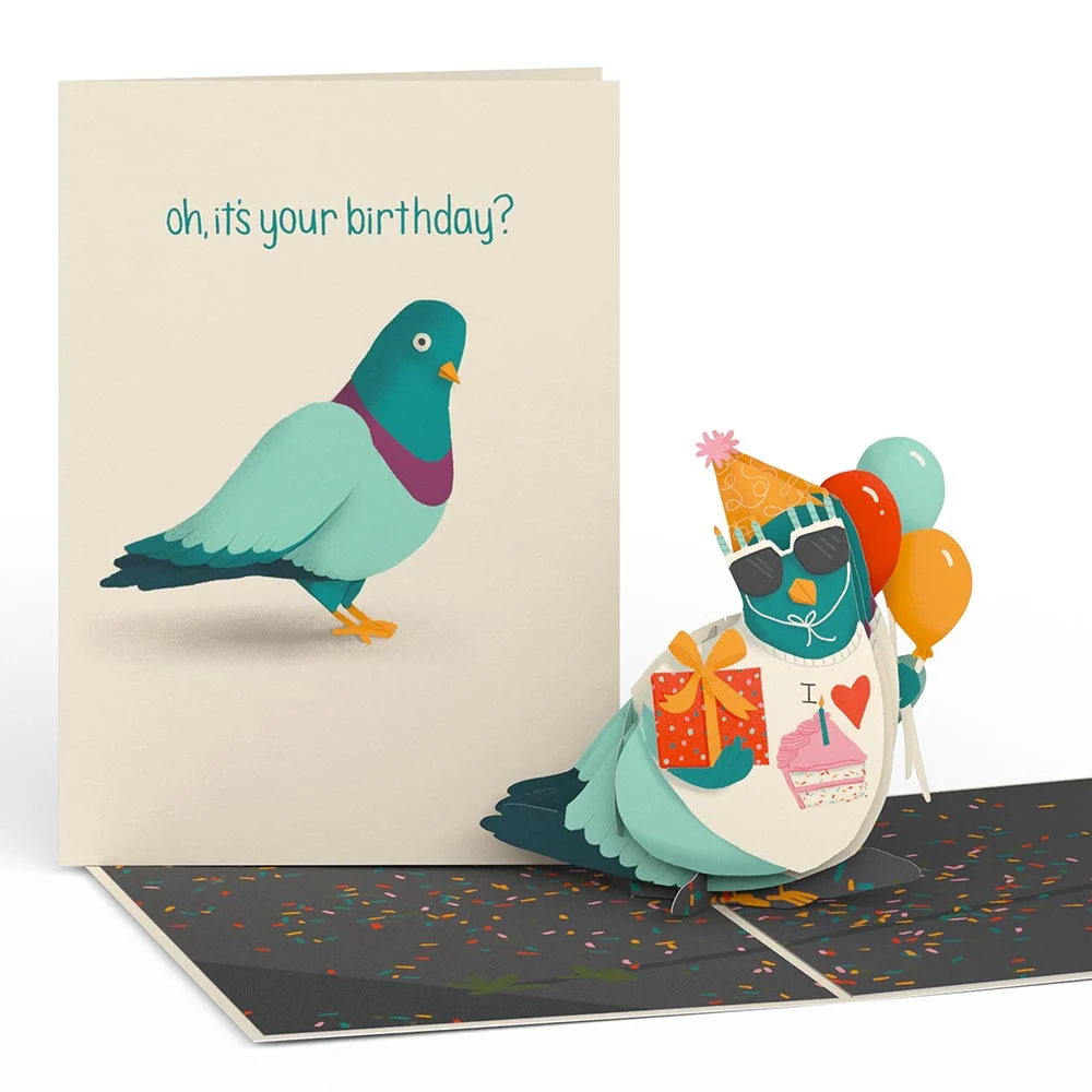 That S Coo Funny Pigeon Birthday Pop Up Card